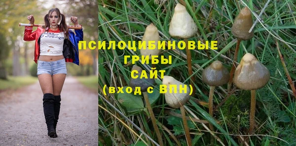 эйфоретик Абаза