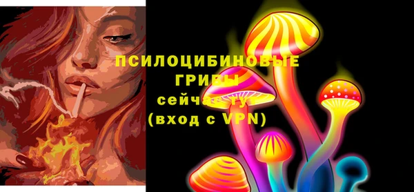 прущие грибы Абинск