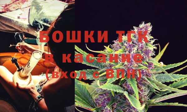 индика Абдулино