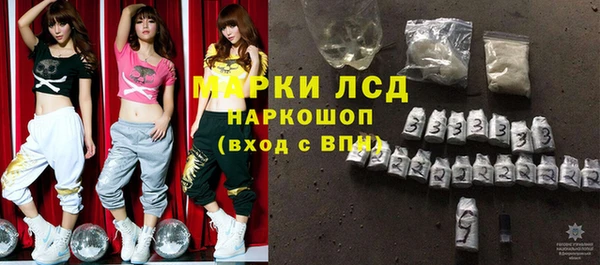 прущие грибы Абинск