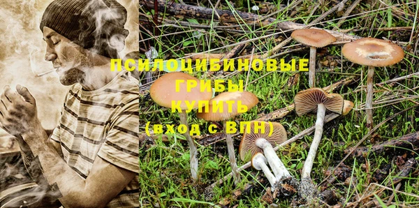 индика Абдулино