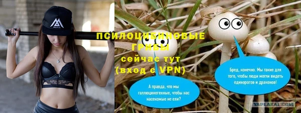 эйфоретик Абаза