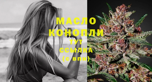 прущие грибы Абинск