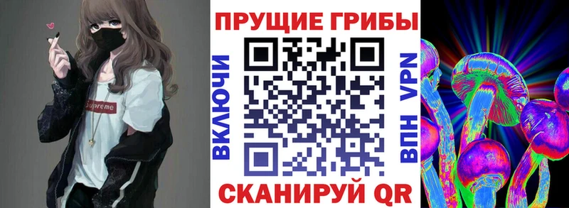 Псилоцибиновые грибы GOLDEN TEACHER даркнет сайт Таштагол
